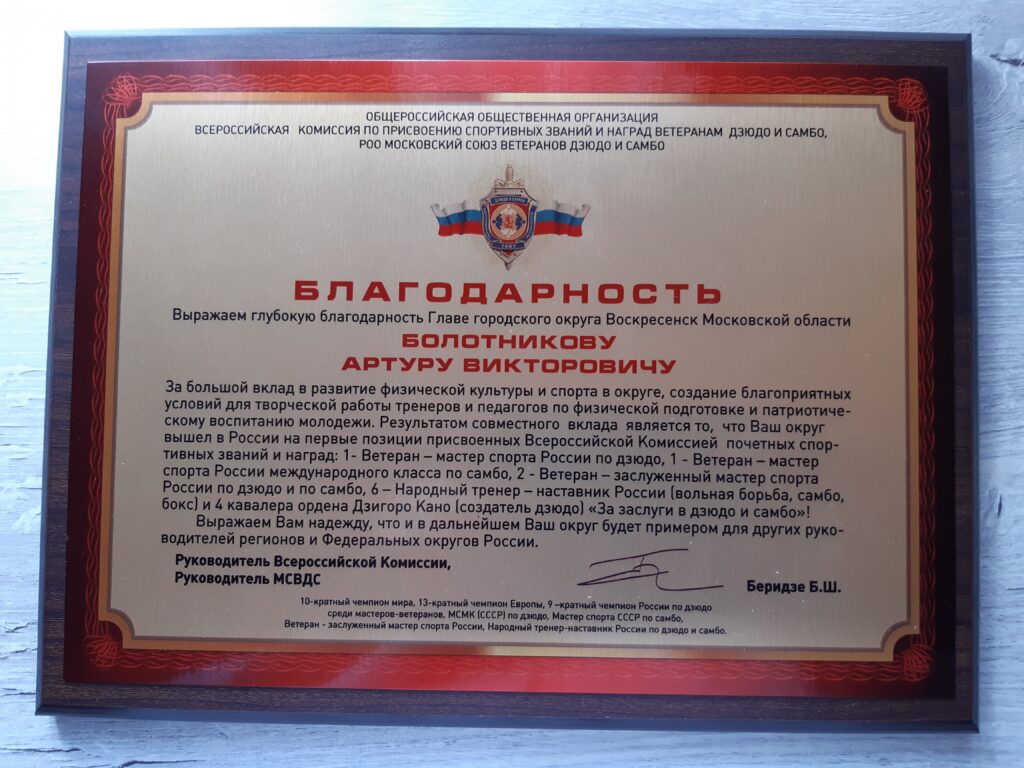 Благодарность БОЛОТНИКОВУ