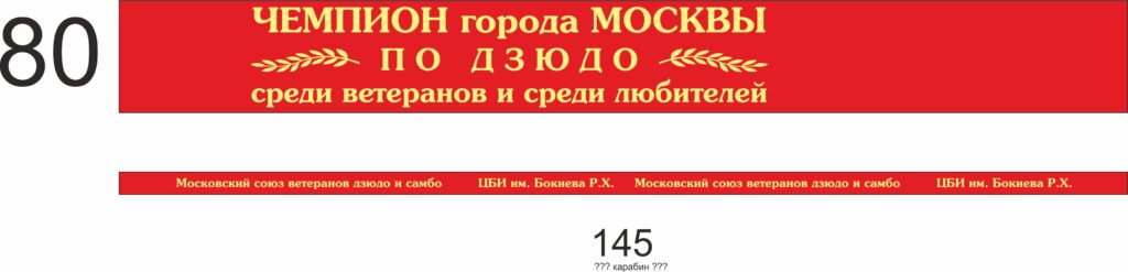 ЧЕМПИОН по дзюдо среди ветеранов 27 3 24